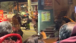 El perro que monta bicicleta existe y está en Colombia; vea las ‘mañas’ que se da