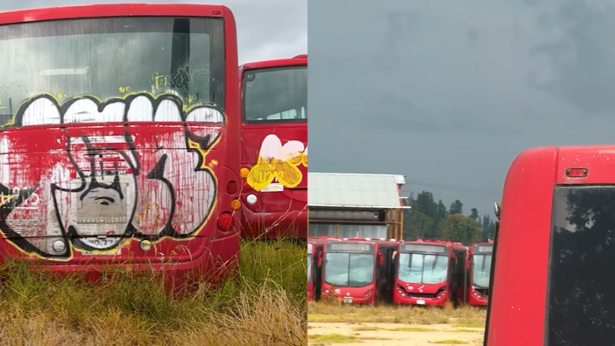 Así es el cementerio de TransMilenio ubicado a las afueras de Bogotá: ¿qué pasó?