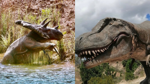 120624 - Jurassic Park colombiano - redes