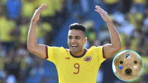 falcao 20624