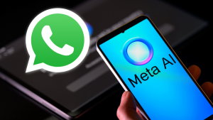 meta whatsapp