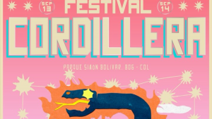 160625 - Festival Cordillera - redes (1)