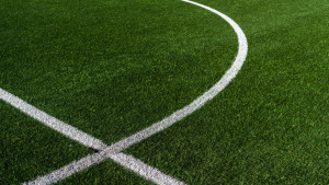 Paso a paso para que alquile GRATIS canchas sintéticas para fútbol y más deportes en Bogotá