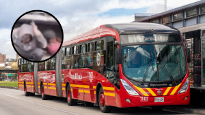 260825 - ladrones TransMilenio - getty
