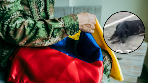 El 'firulais patriota': perro se hace viral por cantar el himno nacional junto a Fuerzas Militares