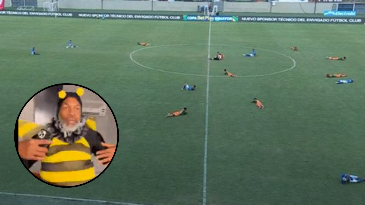 ¡Solo en el FPC! Partido entre Millonarios y Envigado tuvo ataque de abejas: hubo memes