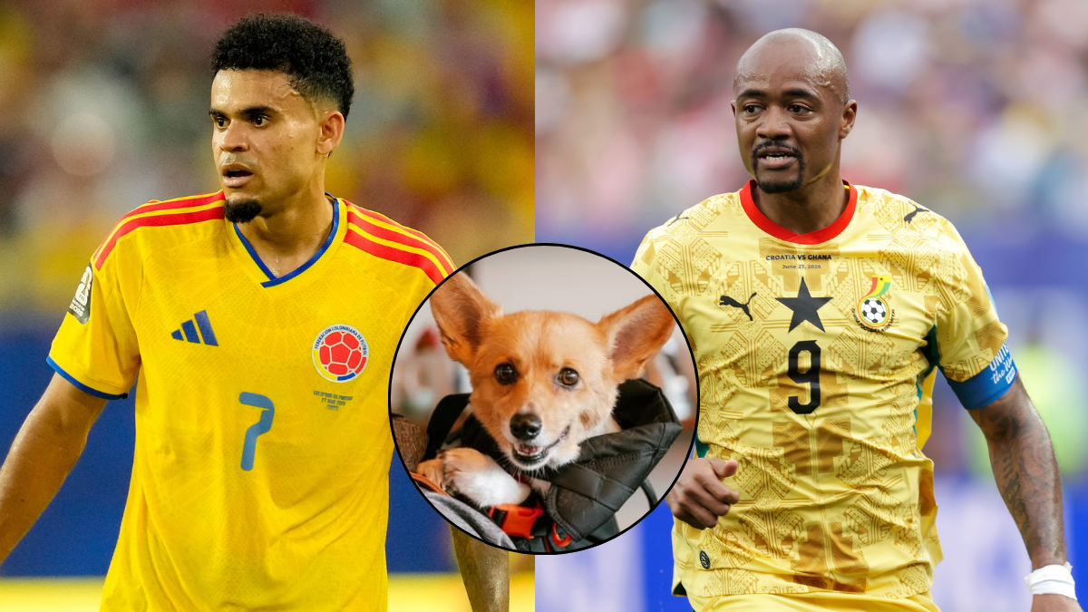 Perrito 'vidente' predice el resultado de Colombia vs Ghana y dispara la emoción por el partido: esto decidió