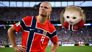 Haaland