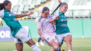Liga Femenina 200826